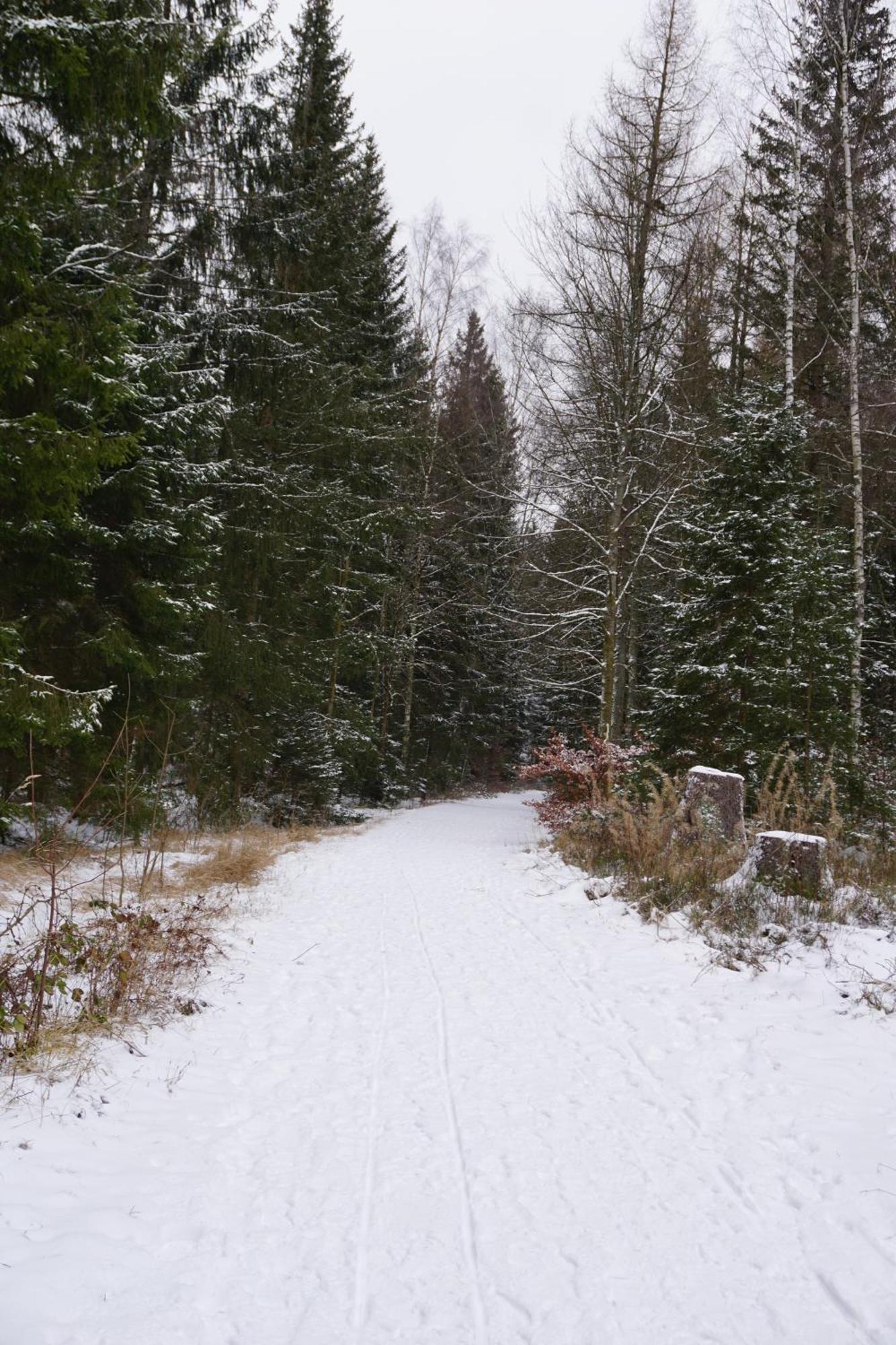 Muggelbude Im Harz Braunlage Exterior foto